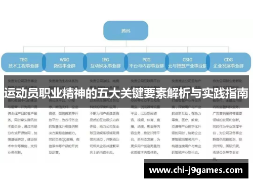 运动员职业精神的五大关键要素解析与实践指南